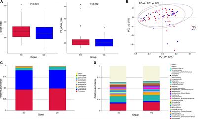 Gut Microbial Characteristics of Adult Patients With Epilepsy